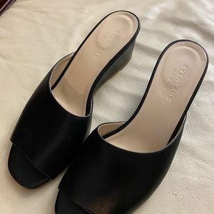 Everlane Italian Leather Wedges